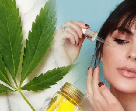 Northfields CBD Oil France